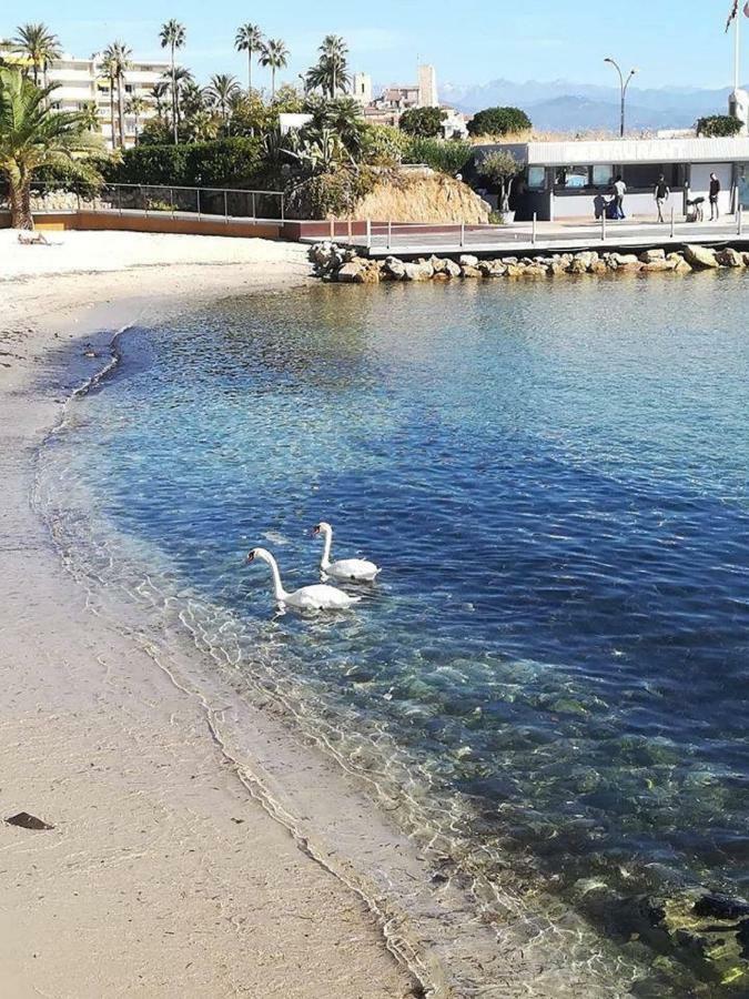 Studio Standing Bord De Mer Et Vue Antibes Esterno foto